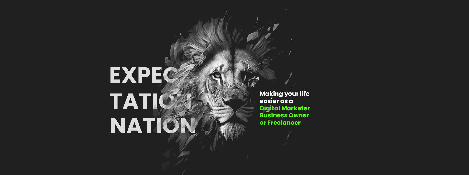 Expectation-Nation-Mobile-Banner